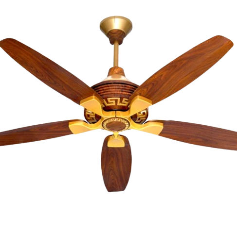 Fans